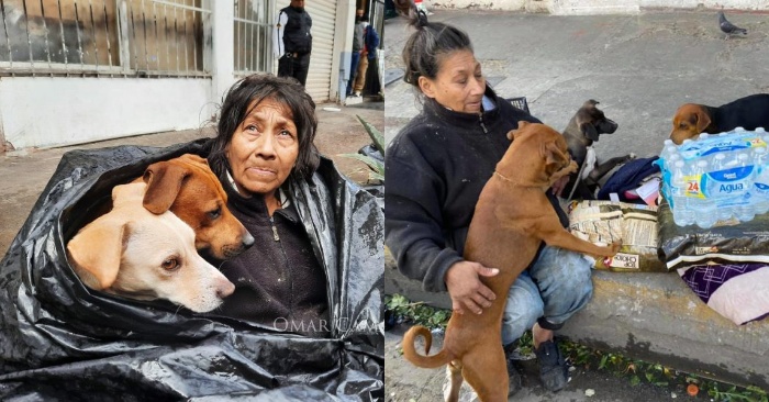  Une femme, vivant dans la rue, ne veut pas aller nulle part sans ses chiens