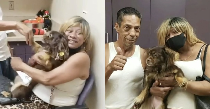  Ce couple reconnaît soudainement leur chien disparu à la télévision et le ramène chez eux