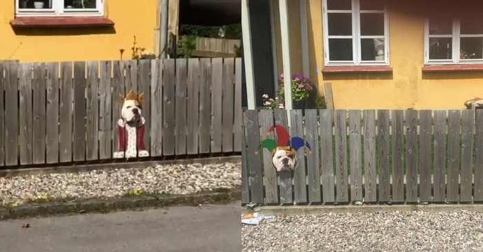  Les propriétaires de ce bouledogue rendent les gens heureux : ils ont peint sur la clôture d’où leur chien regarde toujours.