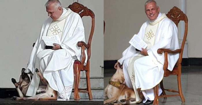 Histoire intéressante : le chien a décidé d’interrompre la cérémonie dans l’église et de jouer avec l’un des prêtres