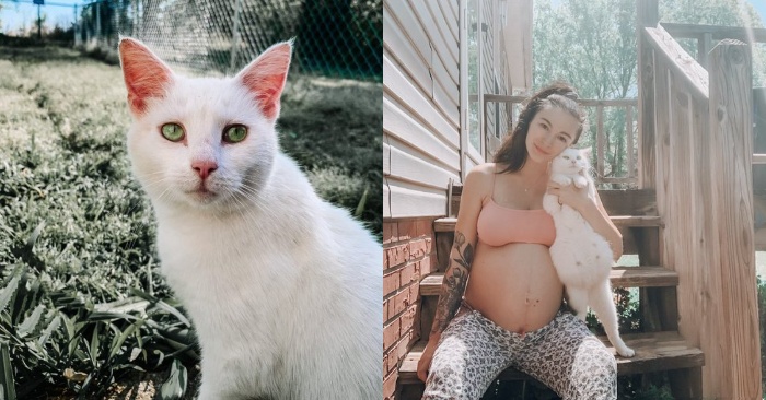  Une femme enceinte ramène à la maison un chat qu’elle a trouvé dans la rue, qui s’avère être enceinte aussi