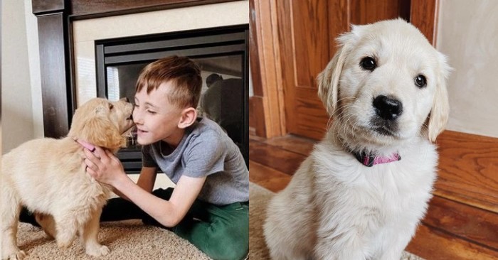  Rien ne peut empêcher ce garçon handicapé et le chien d’être heureux  ils sont devenus des amis inséparables
