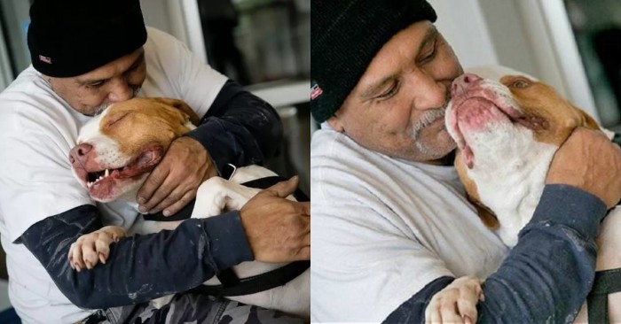  Une histoire très touchante  un homme a dû quitter son chien, promettant de revenir définitivement