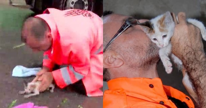  Le geste héroïque de cet homme : il se sauve un petit pauvre chaton et décide de prendre soin d’elle