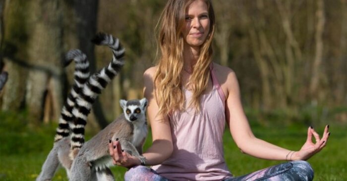  L’un des hôtels de Londres offre un excellent service dont tous les clients sont satisfaits  les lémuriens font du yoga avec les gens
