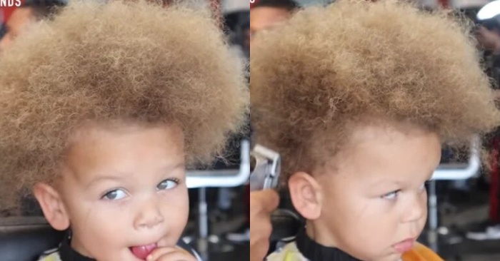  Ce petit garçon ressemblait à un pissenlit  le coiffeur coupait les cheveux de l’enfant, puis il est devenu un garçon mignon