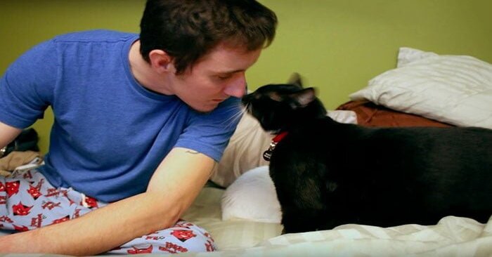  Histoire touchante : ce gars a essayé de se suicider quand soudain entendu la voix d’un chat qui a changé tout