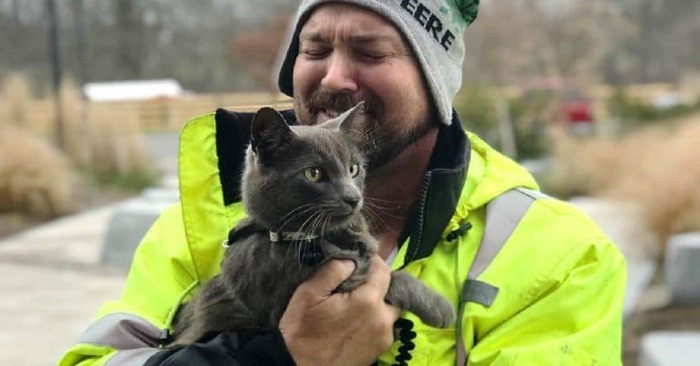  Un chauffeur de camion a sauvé un petit chat, puis l’a perdu et après un certain temps a trouvé le même chat à nouveau