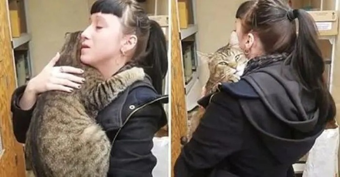  Ce chat adulte a serré la femme très fort, elle ne pouvait pas prendre le chat, mais tout a aidé l’animal