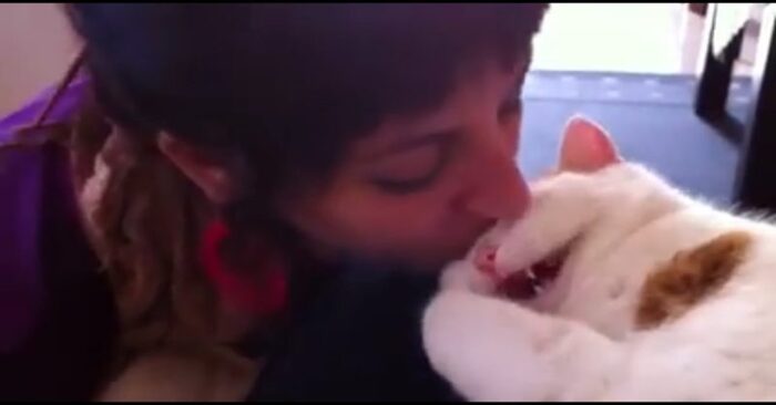  Cette femme embrassait constamment son chat endormi et la réaction du bébé était indescriptiblement mignon