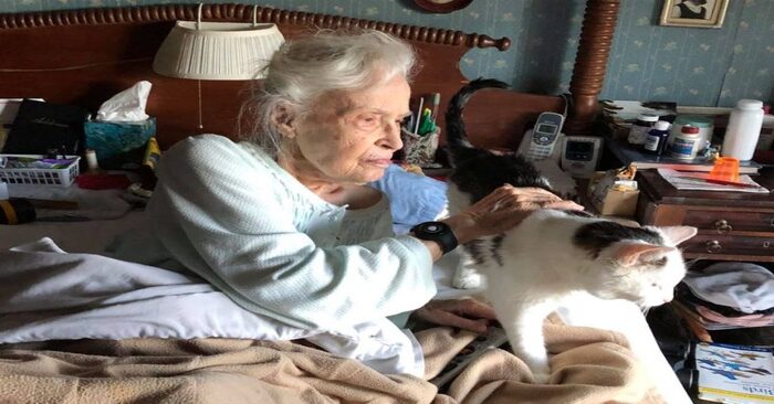  Grande décision  cette grand-mère de 101 ans a décidé d’adopter un vieux chat qui est devenu son véritable ami