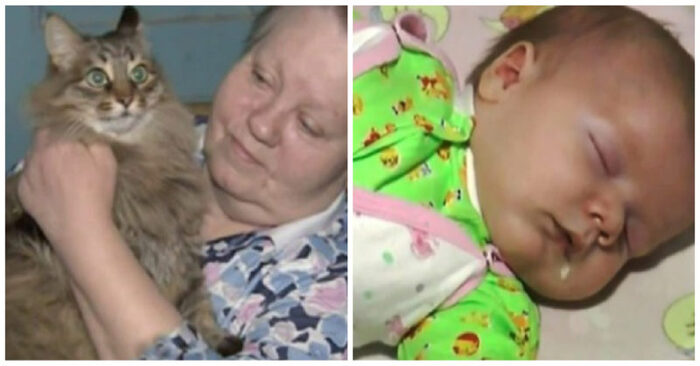  Histoire crédible : ce bébé a été laissé dans une boîte dans le sous-sol et heureusement a été sauvé par ce chat mignon