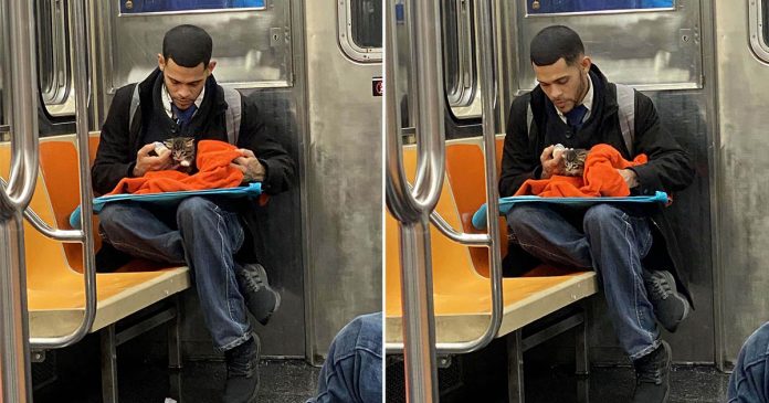  Une scène touchante: Ce garçon trouve un petit chat solitaire dans le métro et réveille la foi dans les gens