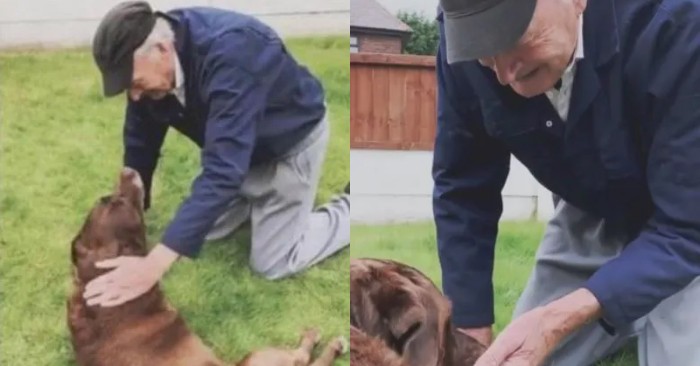  Scène déchirante: ce voisin de 90 ans est venu dire au revoir à son ami chien mourant