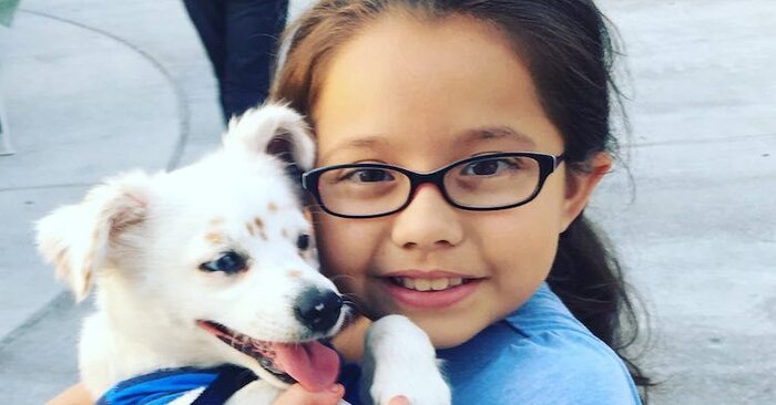  Belle histoire: cette fille sourde de 10 ans enseigne le langage gestuel à son chien malentendant
