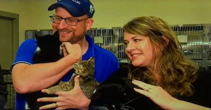  Bonne histoire: ces personnes ont adopté 3 chats, dont un aveugle, pour leur enfant malvoyant