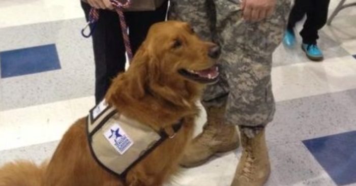  Un soldat a donné à son chien bien-aimé un rôle important sur son désherbage