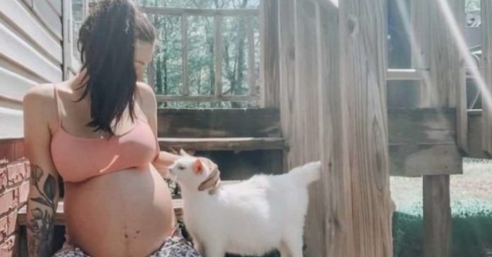  La femme enceinte a rencontré un chat errant dans le même état et il est devenu le début de leur lien