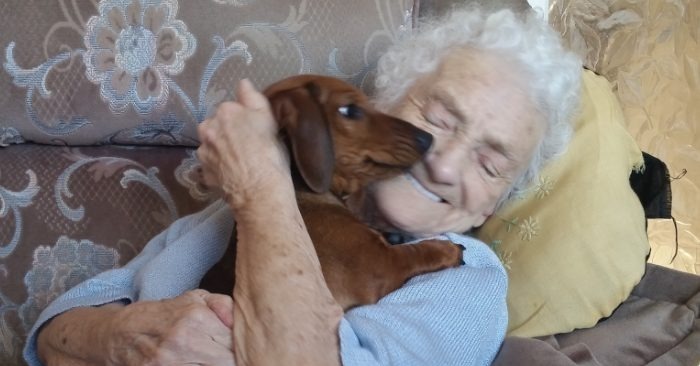  Grand-mère aime chaque moment de sa vie avec son chien bien-aimé, qui est plus qu’un animal de compagnie pour elle