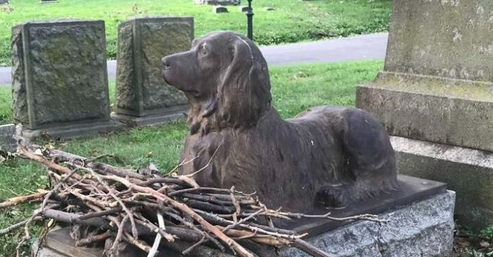  La population locale a placé des bâtons et des branches d’arbres à côté du monument du chien