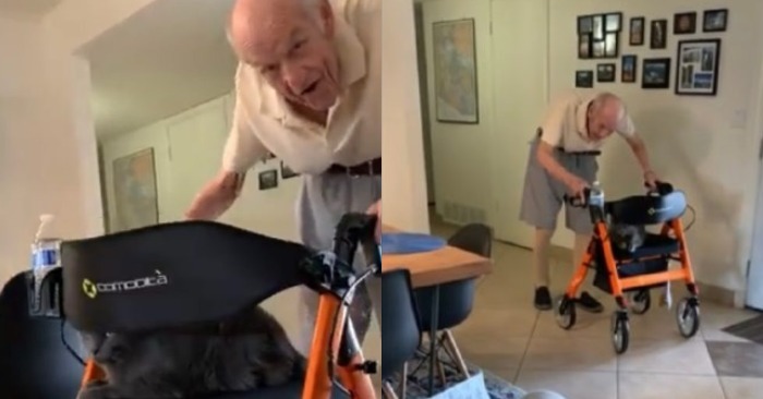  «L’âge n’a pas affecté sa positivité»: 94 ans grand-père aime marcher avec son chat dans une poussette