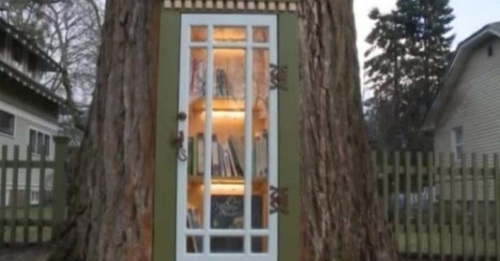  «C’est un endroit préféré des habitants»: une idée intéressante d’une femme transformant un arbre en bibliothèque