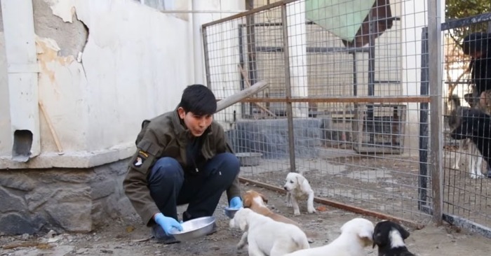  Sauver des vies, une patte à la fois : Les efforts héroïques de Pen pour les animaux en Afghanistan